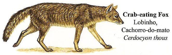 Boswolf