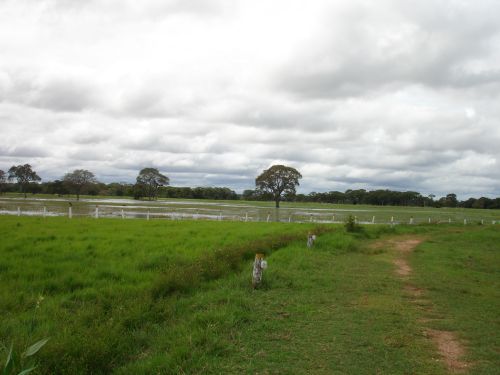 Zuid Pantanal