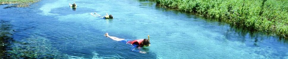 Snorkelen in de Sucuri River