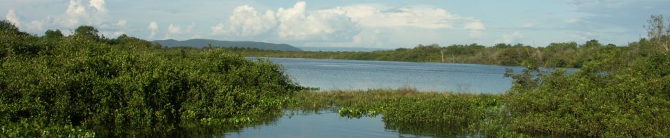 Fauna in de Pantanal