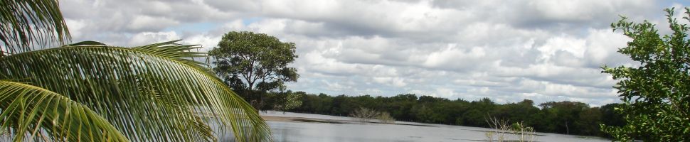 Uitzicht vanaf het water