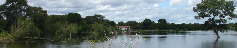 Uitzicht Pantanal