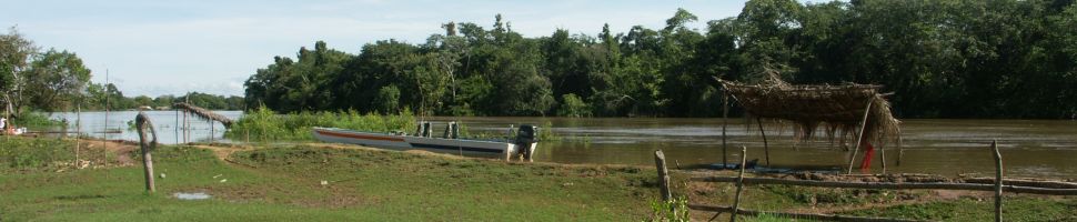 Pantanal