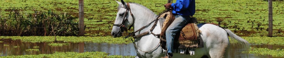 Tocht te paard