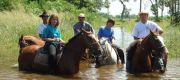 Selfdrive Pantanal Zuid