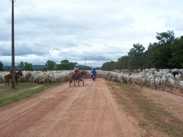 meerdaagse excursie Ruiter Avontuur