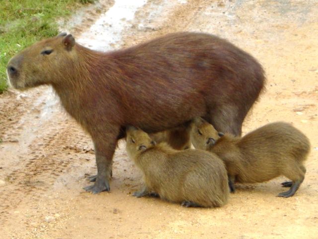 meerdaagse excursie Ruiter Avontuur