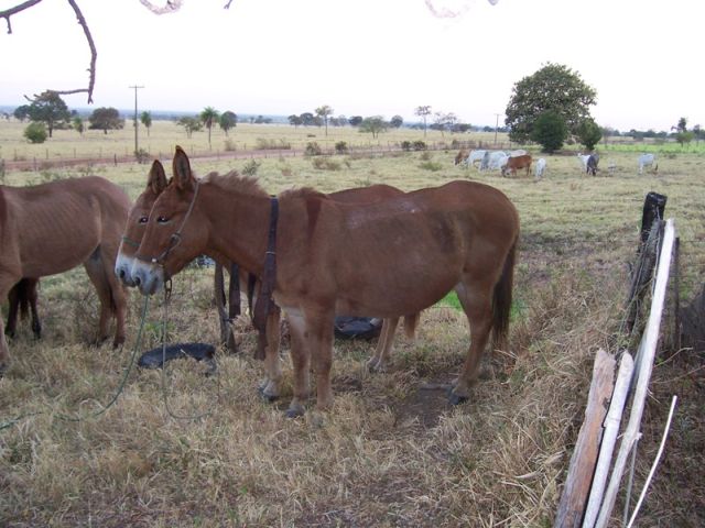 meerdaagse excursie Ruiter Avontuur
