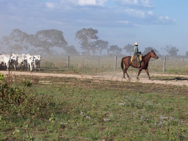 meerdaagse excursie Ruiter Avontuur