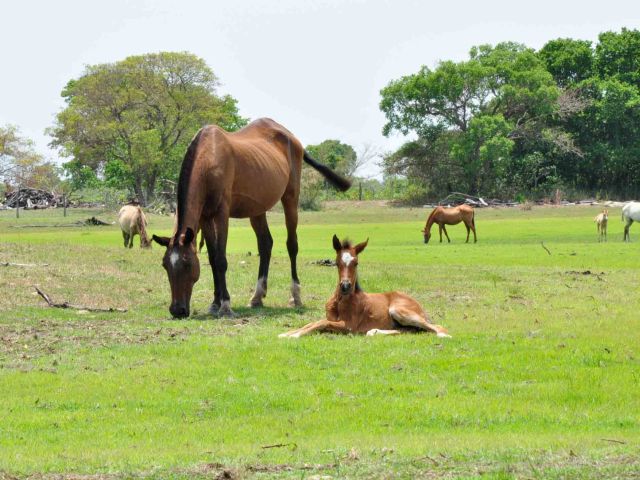 meerdaagse excursie Community Tourism