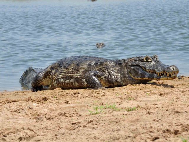 meerdaagse excursie Community Tourism