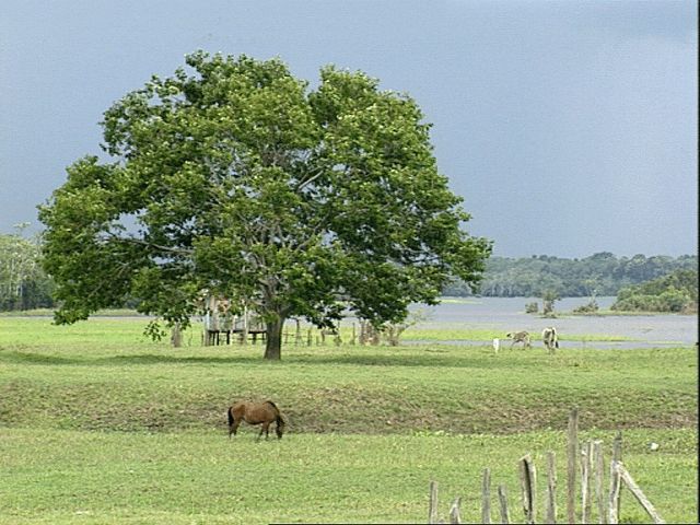lodge Pousada Piuval