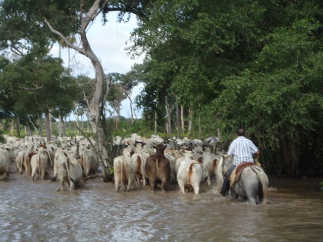 lodge Pousada Piuval