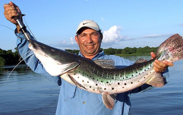 meerdaagse excursie Pantanal sportvissen