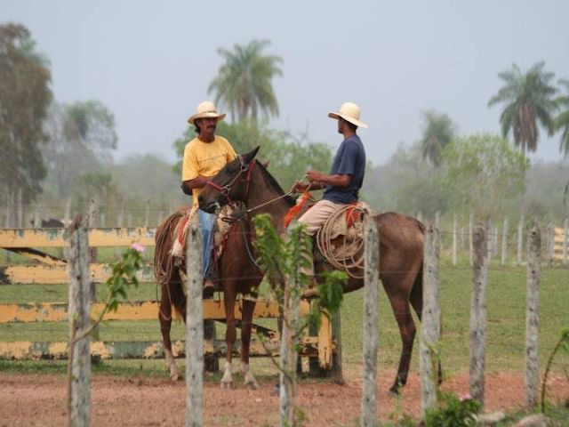 Pantanal Overland