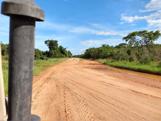 Lazy Pantanal