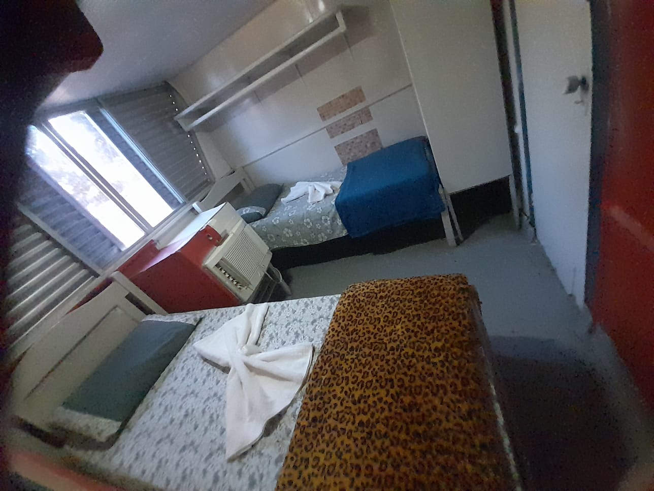 meerdaagse excursie Pantanal Jaguar Safari