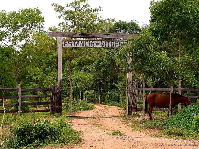 Estancia Vitoria