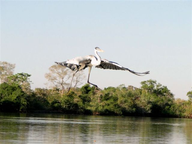 lodge Pousada Rio Claro